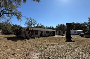 4404 Areca Palm Dr, Zephyrhills, FL 33541 - Photo 2