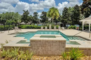 5911 Phoebenest Dr, Lithia, FL 33547 - Photo 48