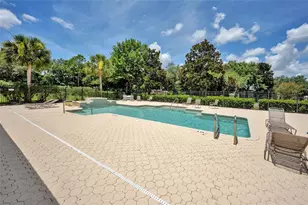 5911 Phoebenest Dr, Lithia, FL 33547 - Photo 50