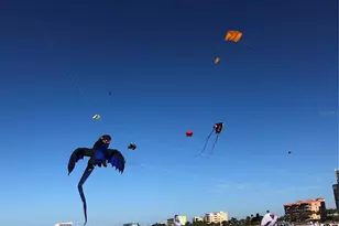 10280 Gulf Blvd, Treasure Island, FL 33706 - Photo 52