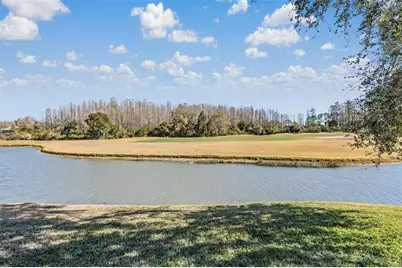 10610 Plantation Bay Drive, Tampa, FL 33647 - Photo 26