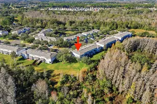 19251 Stone Hedge Dr, Tampa, FL 33647 - Photo 42