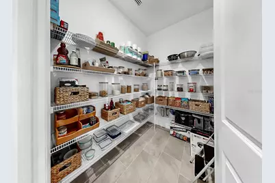 166 Bright Ibis Avenue, Apollo Beach, FL 33572 - Photo 16