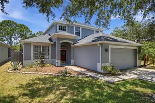 13603 Sigler St, Riverview, FL 33579 - Photo 4