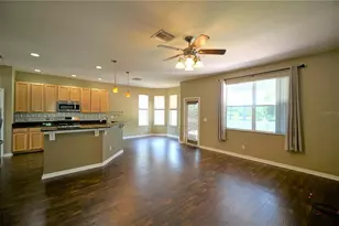 13603 Sigler St, Riverview, FL 33579 - Photo 10