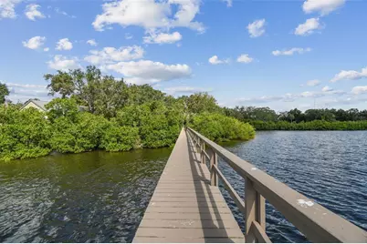 1705 Meyers Cove Drive, Tarpon Springs, FL 34689 - Photo 72