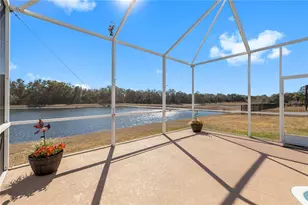 30404 Colthurst St, Wesley Chapel, FL 33545 - Photo 36