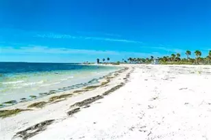 644 Bayshore Dr, Tarpon Springs, FL 34689 - Photo 8