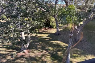 1415 Doolittle Ln, Dunedin, FL 34698 - Photo 4