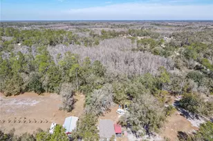 10738 Country View Dr, Lakeland, FL 33809 - Photo 60