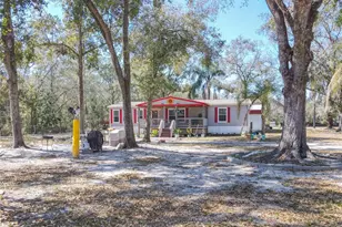 10738 Country View Dr, Lakeland, FL 33809 - Photo 6