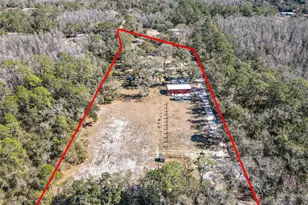 10738 Country View Dr, Lakeland, FL 33809 - Photo 46