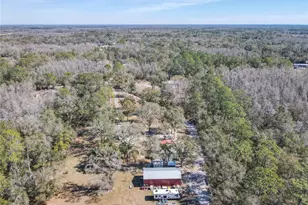 10738 Country View Dr, Lakeland, FL 33809 - Photo 58