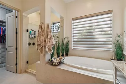 29118 Picana Lane, Wesley Chapel, FL 33543 - Photo 18