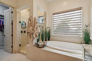 29118 Picana Ln, Wesley Chapel, FL 33543 - Photo 18