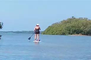 633 Soundview Dr, Palm Harbor, FL 34683 - Photo 58