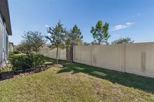 21818 Lyonia Ln, Land O Lakes, FL 34637 - Photo 64