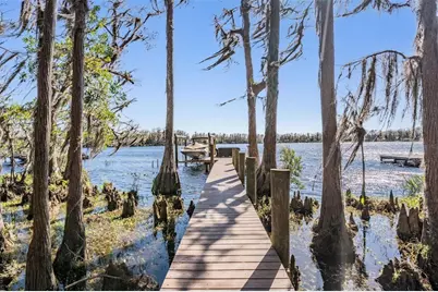 5914 Fitzgerald Road, Odessa, FL 33556 - Photo 66