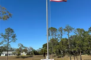 3569 Oak Lake Dr, Palm Harbor, FL 34684 - Photo 36