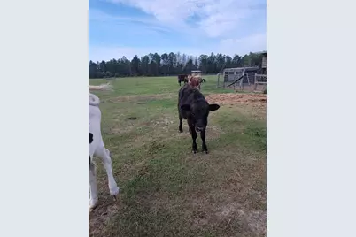 12625 Sweet Hill Road, Polk City, FL 33868 - Photo 26