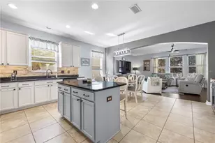5463 Shasta Daisy Pl, Land O Lakes, FL 34639 - Photo 6