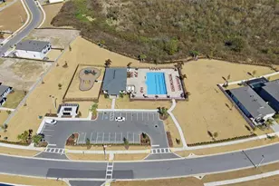 2909 Ivory Bluff Ct, Zephyrhills, FL 33540 - Photo 42