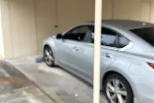 2462 Kingfisher Ln, Clearwater, FL 33762 - Photo 4