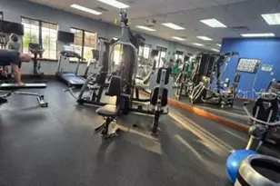 8923 Cuban Palm Rd, Kissimmee, FL 34747 - Photo 86