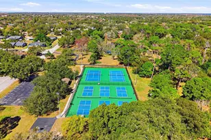 847 Hillside Dr, Palm Harbor, FL 34683 - Photo 78