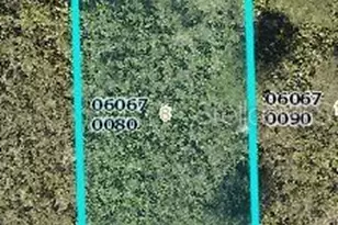 2605 70th St W, Lehigh Acres, FL 33971 - Photo 10