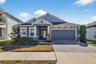 17778 Everlong Dr, Land O Lakes, FL 34638 - Photo 1