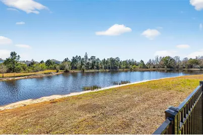 17778 Everlong Drive, Land O Lakes, FL 34638 - Photo 38