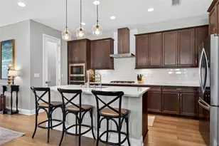 17778 Everlong Dr, Land O Lakes, FL 34638 - Photo 12