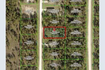 15252 Coot Road, Brooksville, FL 34614 - Photo 6