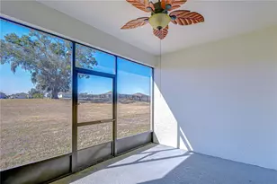 10027 Dolphin Gull Cir, Thonotosassa, FL 33592 - Photo 54