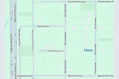 17467 Nimick Road, Weeki Wachee, FL 34614 - Photo 1