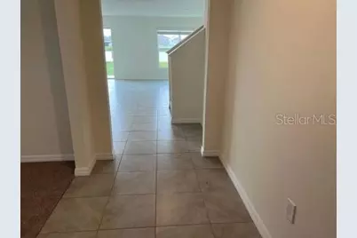 16767 Sunburst Lake Street, Wimauma, FL 33598 - Photo 8