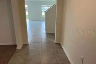 16767 Sunburst Lake St, Wimauma, FL 33598 - Photo 8