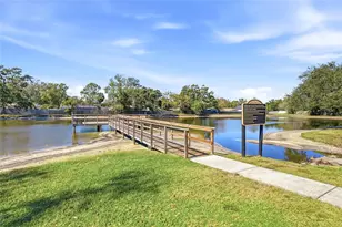 3814 N Oak Dr, Tampa, FL 33611 - Photo 22
