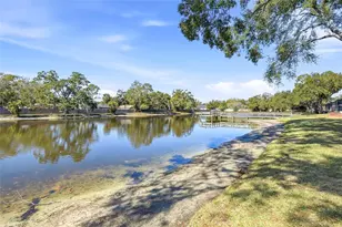 3814 N Oak Dr, Tampa, FL 33611 - Photo 20