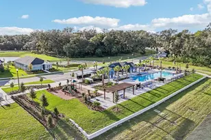 5836 Native Oak St, Mount Dora, FL 32757 - Photo 4