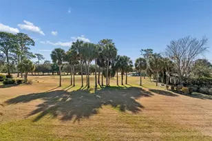 29244 Whipporwill Ln, Wesley Chapel, FL 33543 - Photo 32