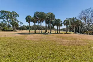 29244 Whipporwill Ln, Wesley Chapel, FL 33543 - Photo 38