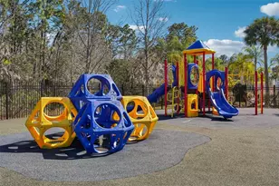 9609 Royal Fern Ct, Tampa, FL 33647 - Photo 54