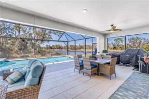 9141 Warm Spgs Cir, Parrish, FL 34219 - Photo 38