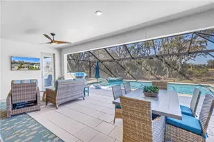 9141 Warm Spgs Cir, Parrish, FL 34219 - Photo 36