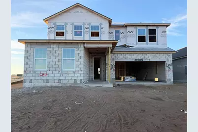 5910 Fresh Flora Drive, Wimauma, FL 33598 - Photo 4