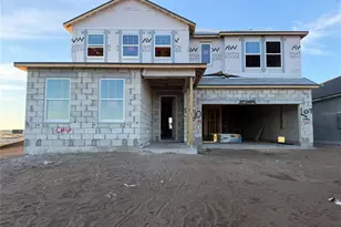 5910 Fresh Flora Dr, Wimauma, FL 33598 - Photo 4