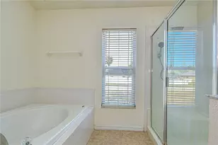 29019 Old Marsh, Wesley Chapel, FL 33543 - Photo 30