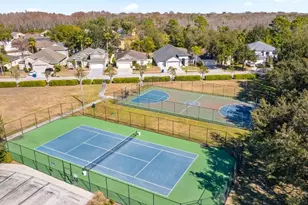 10934 May Apple Ct, Land O Lakes, FL 34638 - Photo 32
